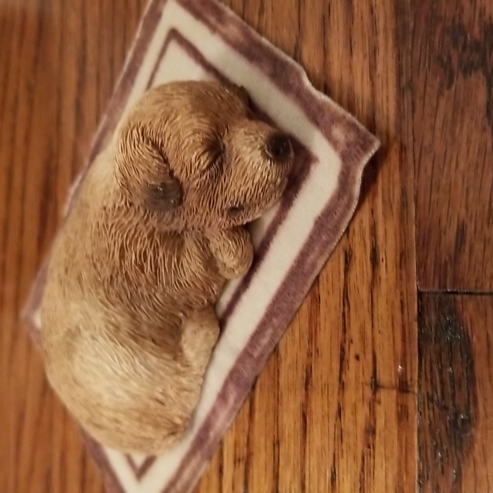 Sandicast lil snoozer puppy "Peeper"